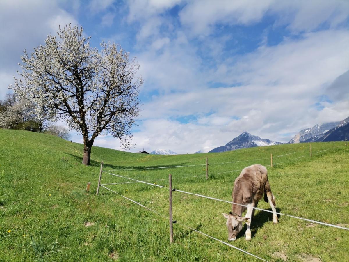 Ferienhaus Weber-Haeusl Reith im Alpbachtal Esterno foto
