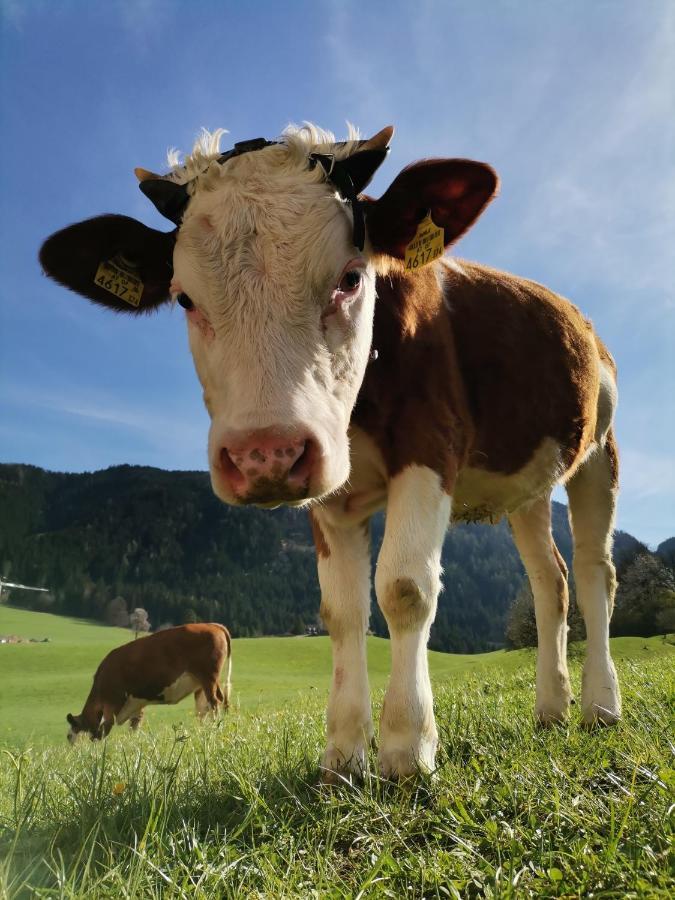 Ferienhaus Weber-Haeusl Reith im Alpbachtal Esterno foto